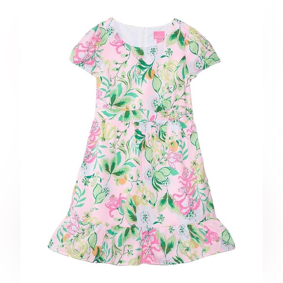 Lilly Pulitzer Girls Alexandra Dress Multi Via Amore Spritzer Floral Resortwear - Picture 3 of 10